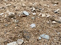 Sand & Gravel Products